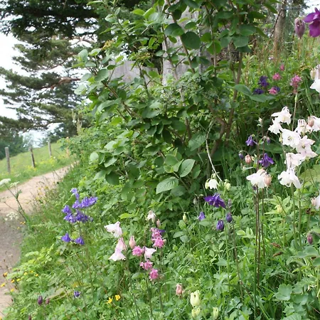 Appartement Hulfteggpass Mühlrüti