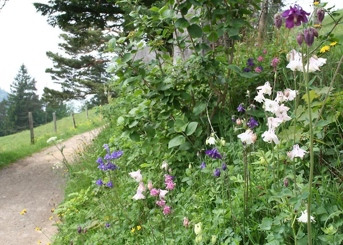 Apartament Hulfteggpass Mühlrüti